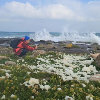 Marées d’Equinoxe dans le Cotentin