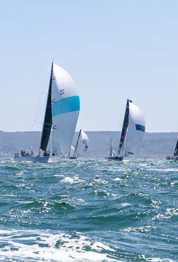 Drheam Cup