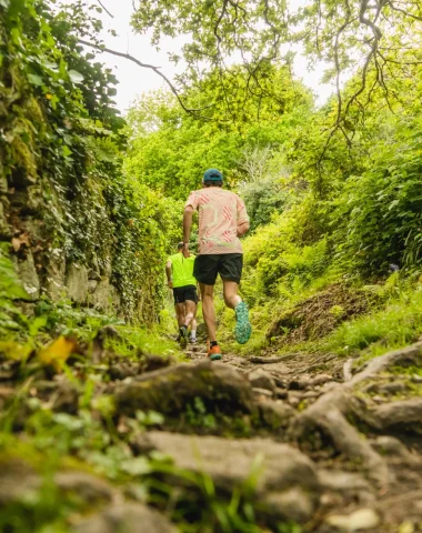 Trail
