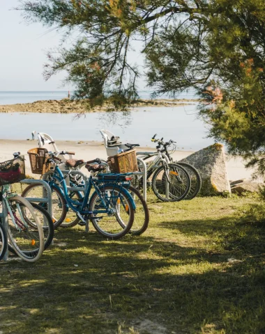 Pourvu | Un(e) Chargé(e) de développement tourisme durable (H/F)