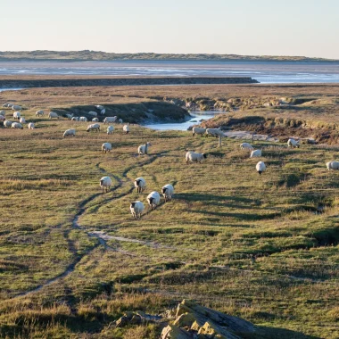 Les havres du Cotentin