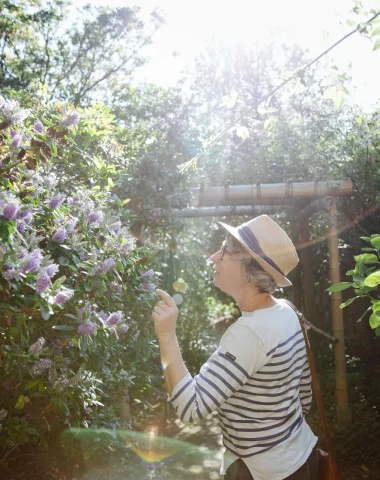Rendez-vous aux jardins