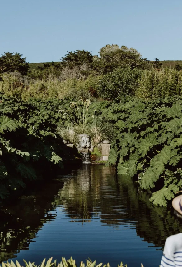 Cotentin côté jardins