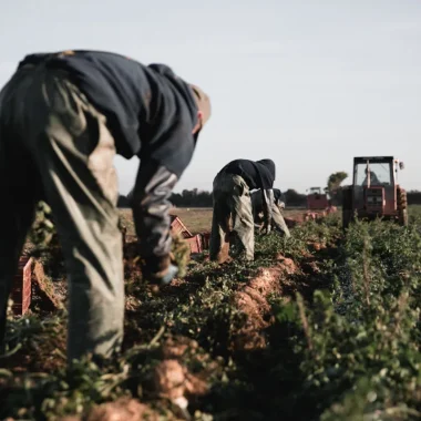 agriculteur cotentin