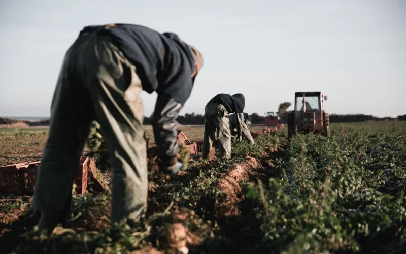 agriculteur cotentin